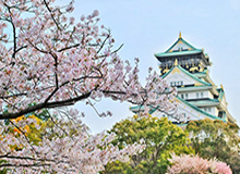 蜘蛛直播官方入口-冠中冠威尔逊再负塔猜亚 特鲁姆普状态火热进四强